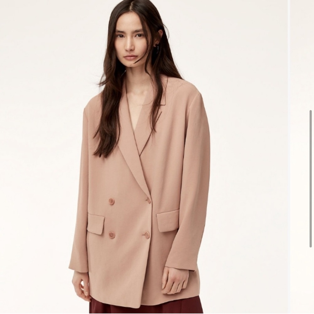 Aritzia Wilfred Cherrelle Blazer